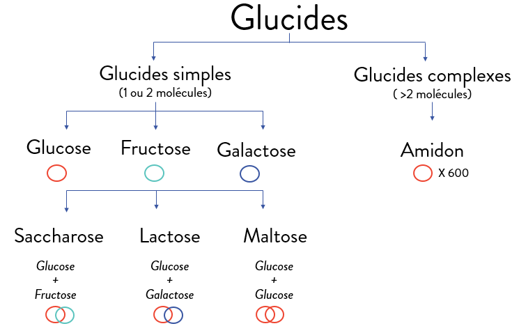Glucose (ingrédient) - Tout savoir sur glucose